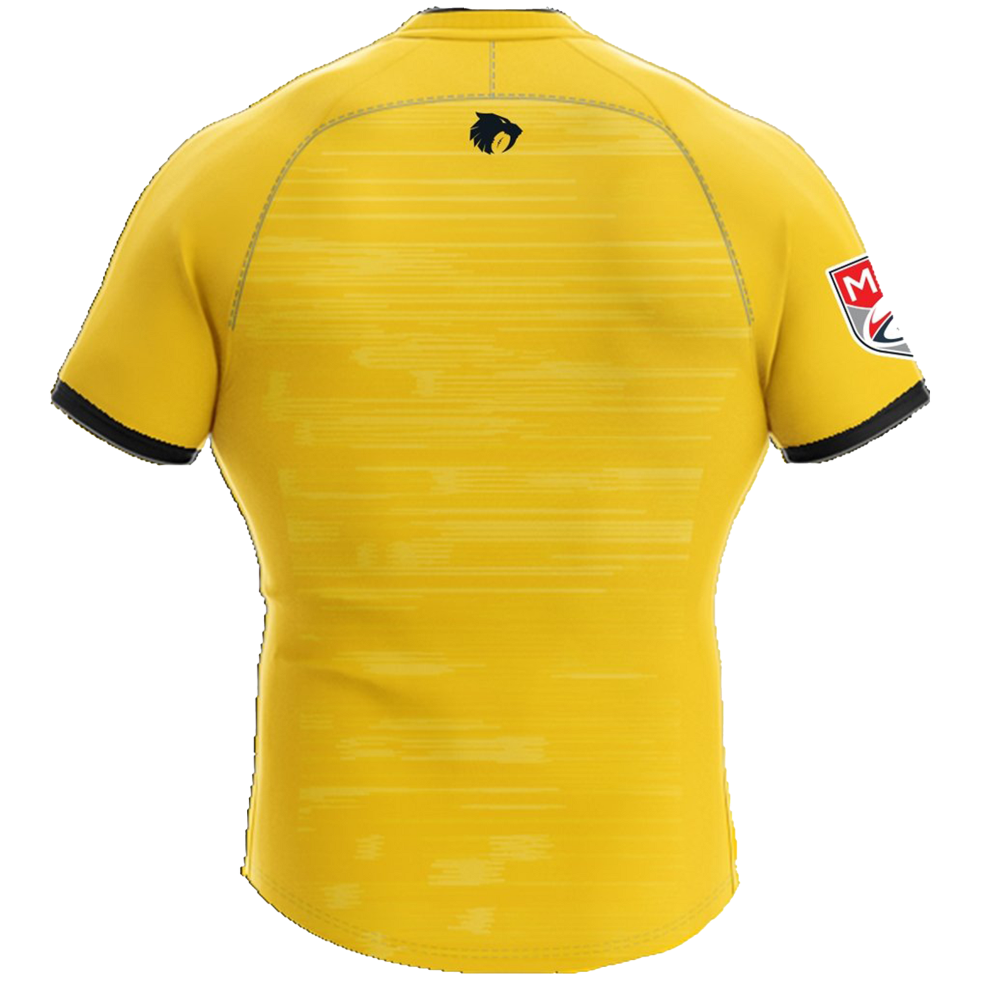 Houston sabercats deals jersey
